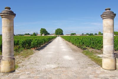 Chinese acquisitions in the Bordeaux vineyards: have their new owners really been neglecting them?