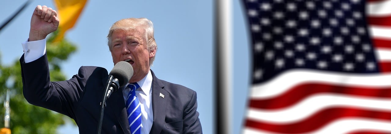 Trump by geralt